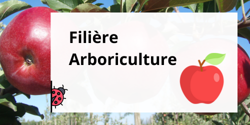 Arboriculture