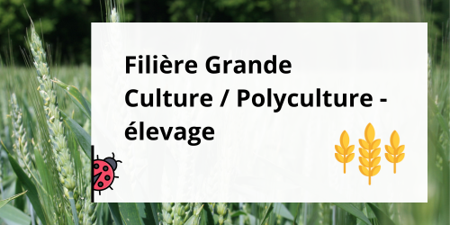 Filière GCPE